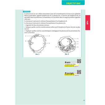Prépabac 1re ST2S - Toutes les matières - Cours et entraînement au contrôle continu 2023