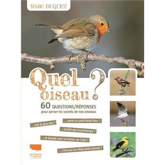 Quel oiseau ?