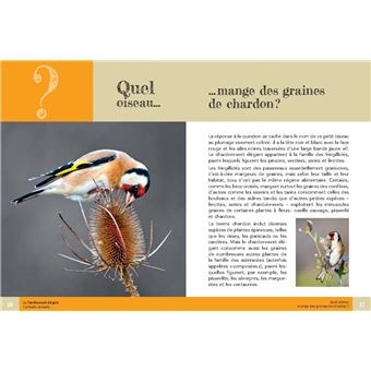 Quel oiseau ?