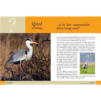 Quel oiseau ?
