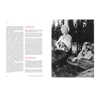 Dico Vertigo - Dictionnaire de la montagne au cinéma en 500 films