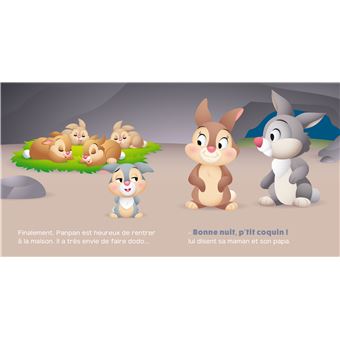 DISNEY BABY - Bonne nuit, p'tit coquin ! - Panpan se cache