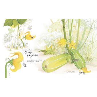 Petite araignée jolie cherche maison fleurie