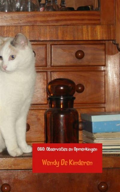 O&O : Observaties en Opmerkingen