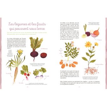 Tout savoir sur les fruits et légumes