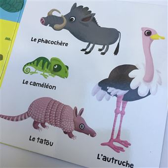La savane et ses animaux