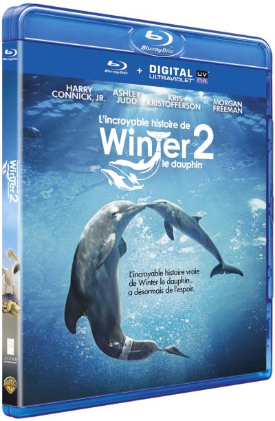 L'Incroyable histoire de Winter le dauphin - Blu-ray