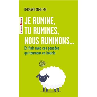 Je rumine, tu rumines, nous ruminons...