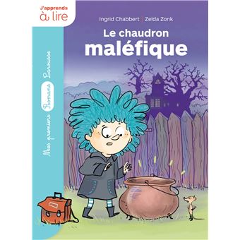 Un sorcier à l'école : Le chaudron maléfique