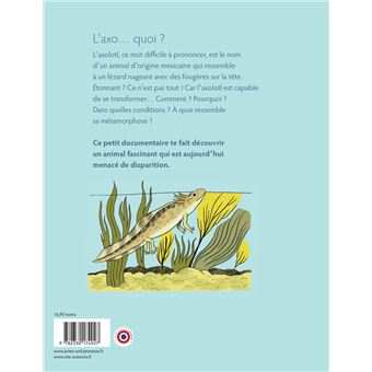 L'axolotl, les secrets d'une métamorphose