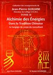 Alchimie des énergies dans la Tradition chinoise Tome 2 - Le langage du corps du consultant