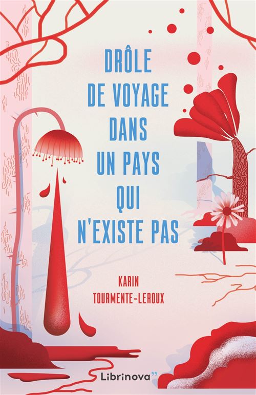 Drôle de voyage dans un pays qui n'existe pas - Karin Tourmente-Leroux - broché