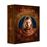 Les Tudors L'intégrale des Saisons 1 à 4 Édition Limitée DVD