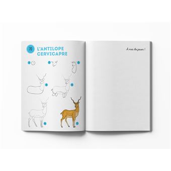 Mes 300 modèles d'animaux à dessiner en pas à pas