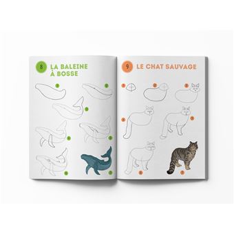 Mes 300 modèles d'animaux à dessiner en pas à pas