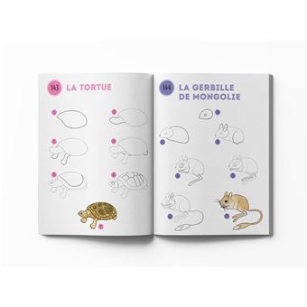 Mes 300 modèles d'animaux à dessiner en pas à pas