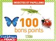 Boîte de 100 bons points : Insectes et papillons