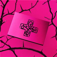 7TH YEAR: A Moment of Stillness in the Thorns (ANXIETY Version) Coffret