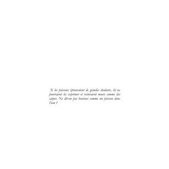 Des vendredis dans la tête
