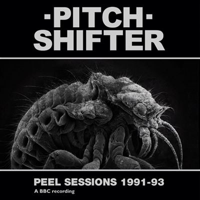Peel Sessions 1991-1993 Vinyle Blanc