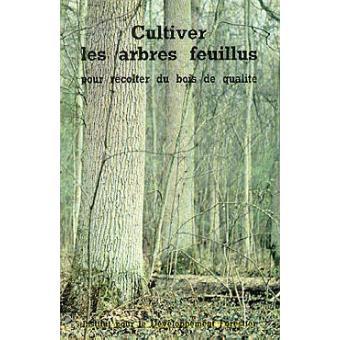 Cultiver les arbres feuillus pour récolter du bois de qualité