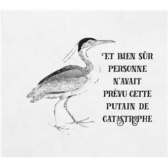 Effin'Birds