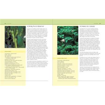 Potager du jardinier paresseux