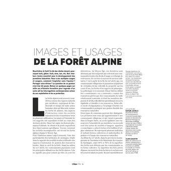 L'Alpe 95 - La forêt