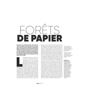 L'Alpe 95 - La forêt