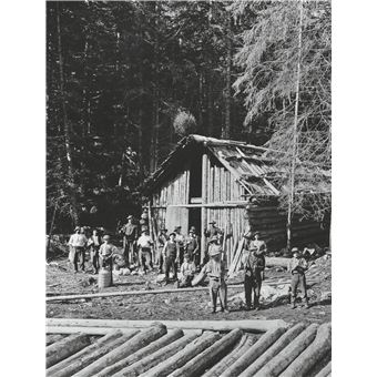 L'Alpe 95 - La forêt