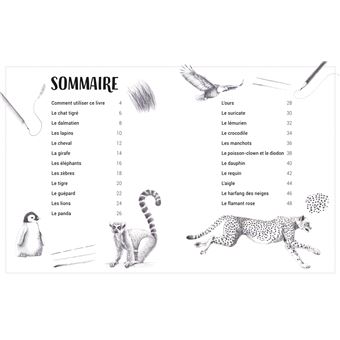 J'apprends à dessiner les animaux