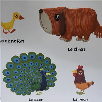 La ferme et ses animaux
