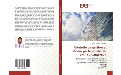 Controle de gestion et valeur partenariale des emf au camero