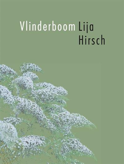 Vlinderboom