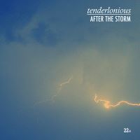 After the Storm - Vinilo
