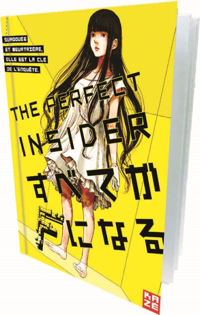 Coffret The Perfect Insider L'intégrale DVD