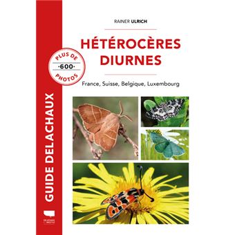 Hétérocères diurnes