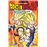Dragon Ball ZLe combat final contre Majin Boo_0