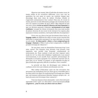 Ces chiens qui nous hantent : Fidèlité