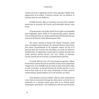 Ces chiens qui nous hantent : Fidèlité