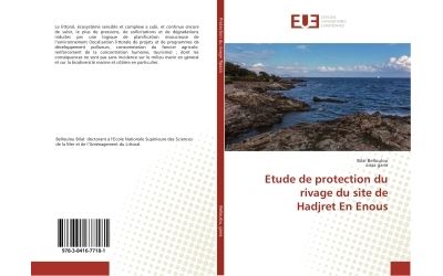 Etude de protection du rivage du site de hadjret en enous
