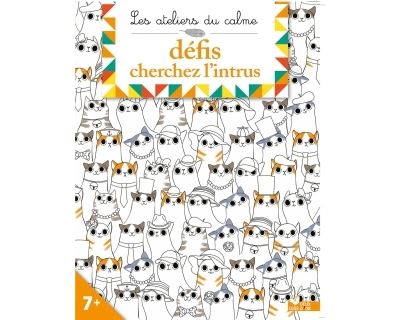 Défis cherche l'intrus