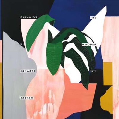 Swimming in strange waters/mp3/poster inclus
