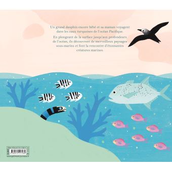 Une journée dans l'océan