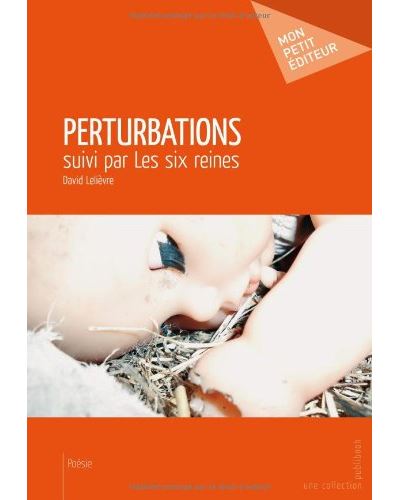 Perturbations - David Lelièvre - broché