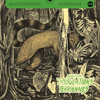 Tribulations terriennes