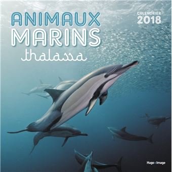 Calendrier Mural Animaux Marins Thalassa 2018