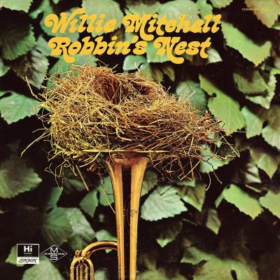 Robbin s nest