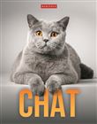 Chat