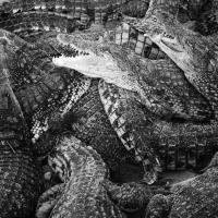 Like water through the sand